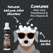 Load image into Gallery viewer, Groomi Cookie Dough Dog shampoo - 500ml