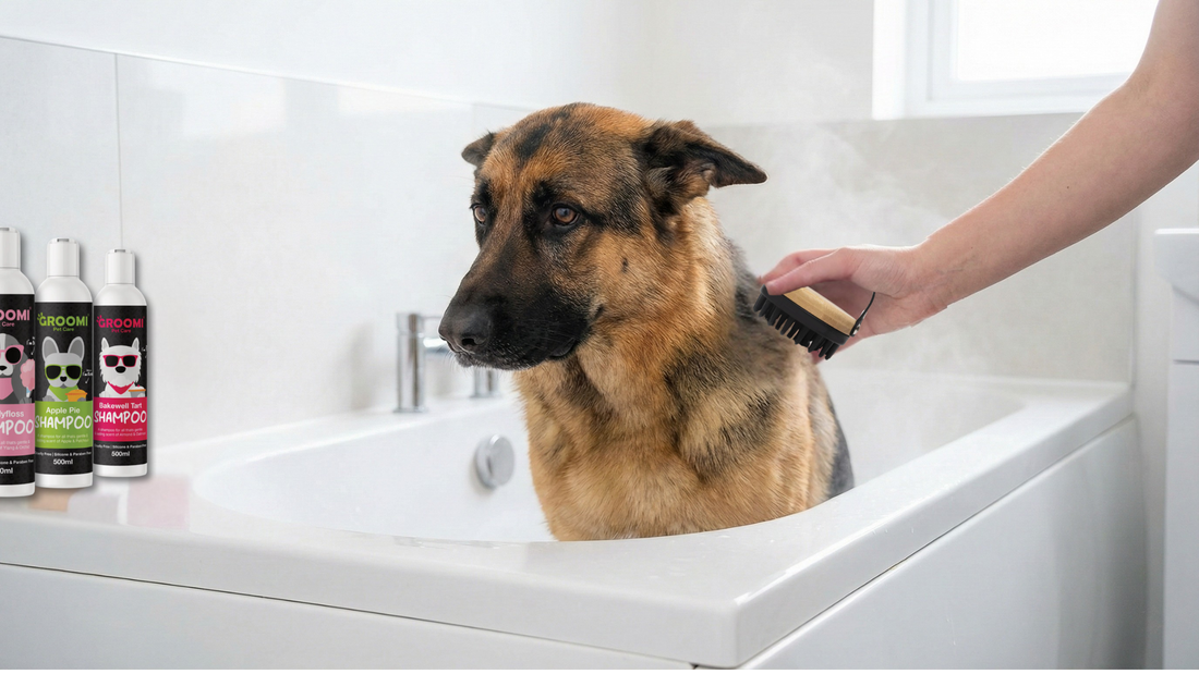 Why Your Dog Hates Baths (And How to Change Their Mind)