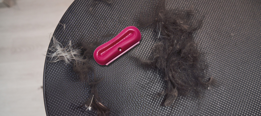 How Do Deshedding Brushes Work?