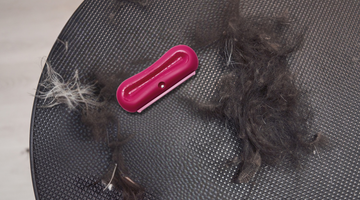 How Do Deshedding Brushes Work?