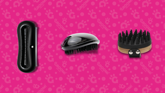 Beyond the Brush: The Best Dog Grooming Products You Didn’t Know You Needed