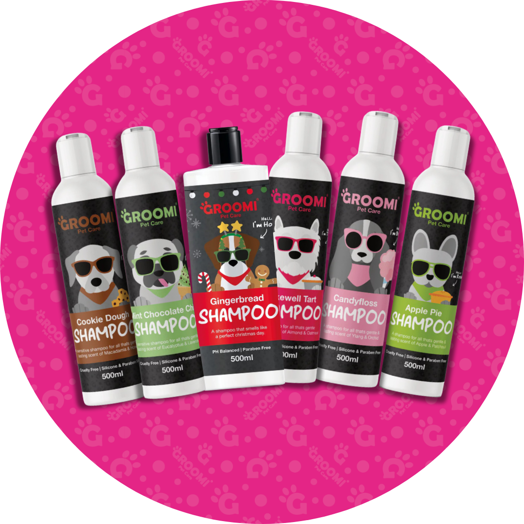 Dog Shampoo
