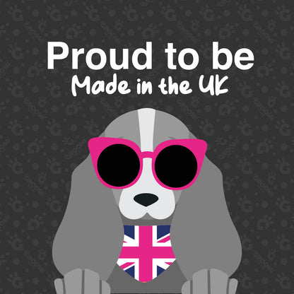 NEW** Groomi  Deshedding Brush 2.0