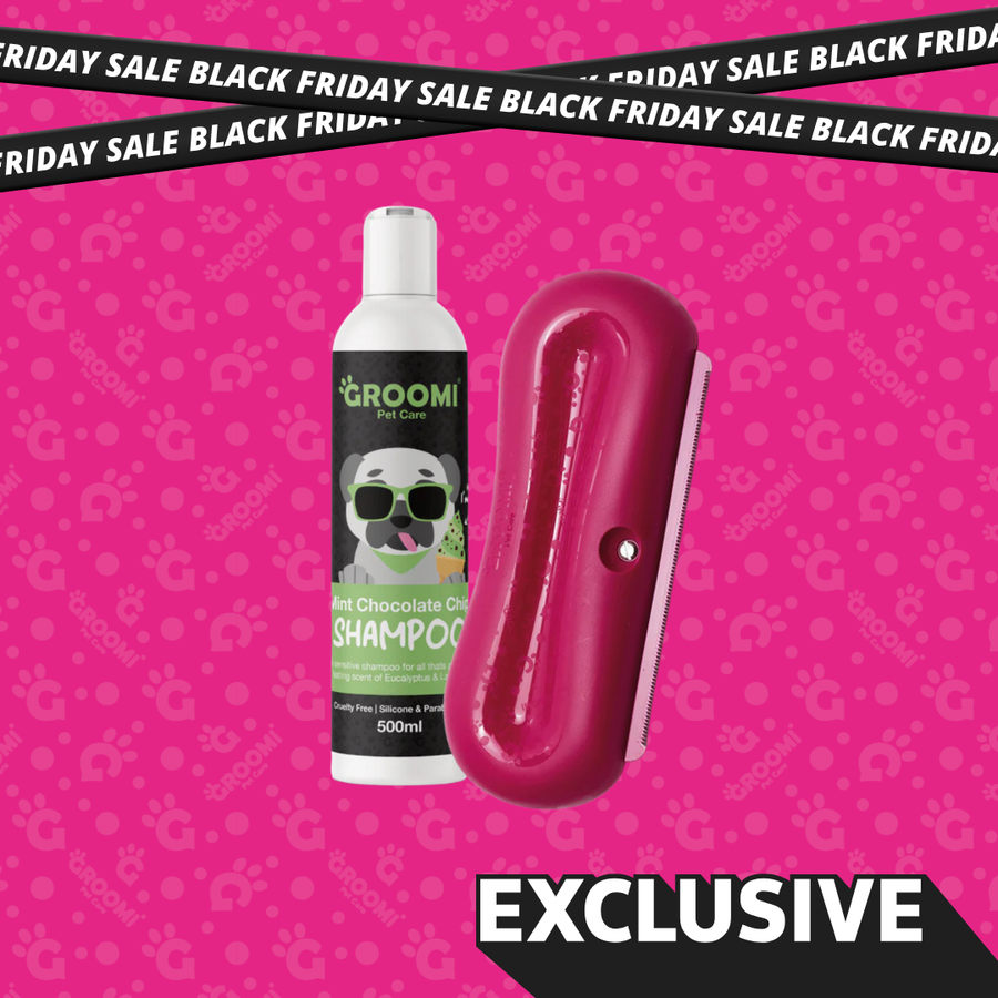 Groomi Brush & Dog Shampoo