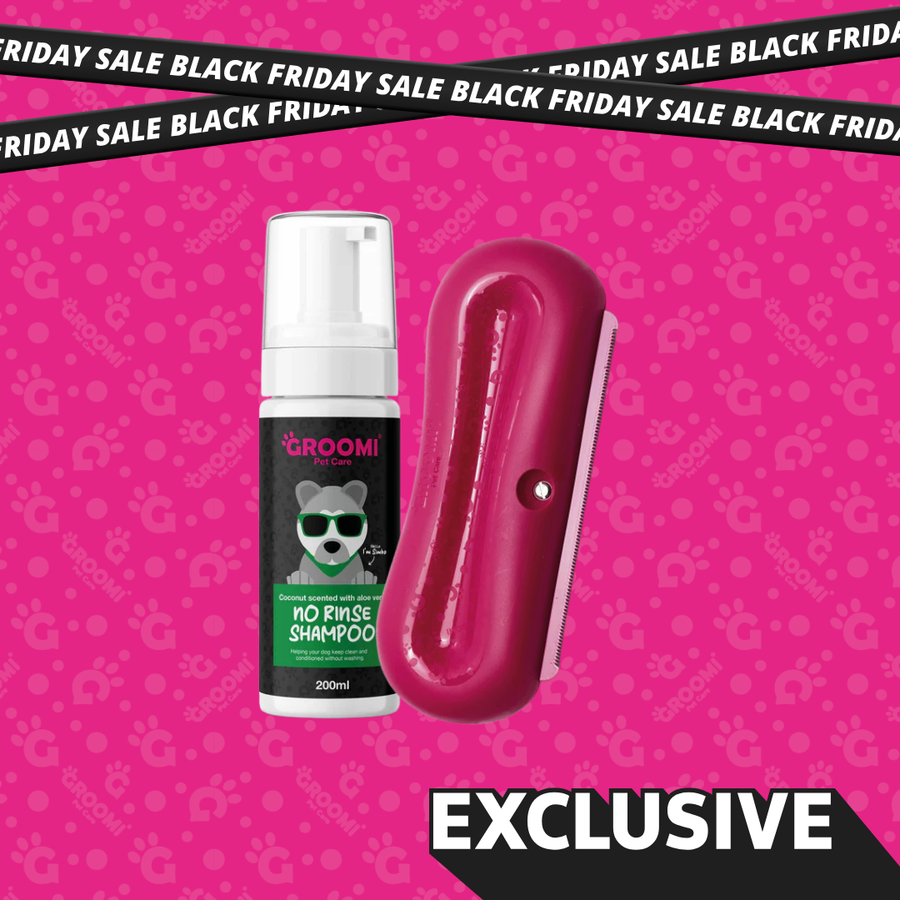 Groomi Brush & No Rinse Shampoo