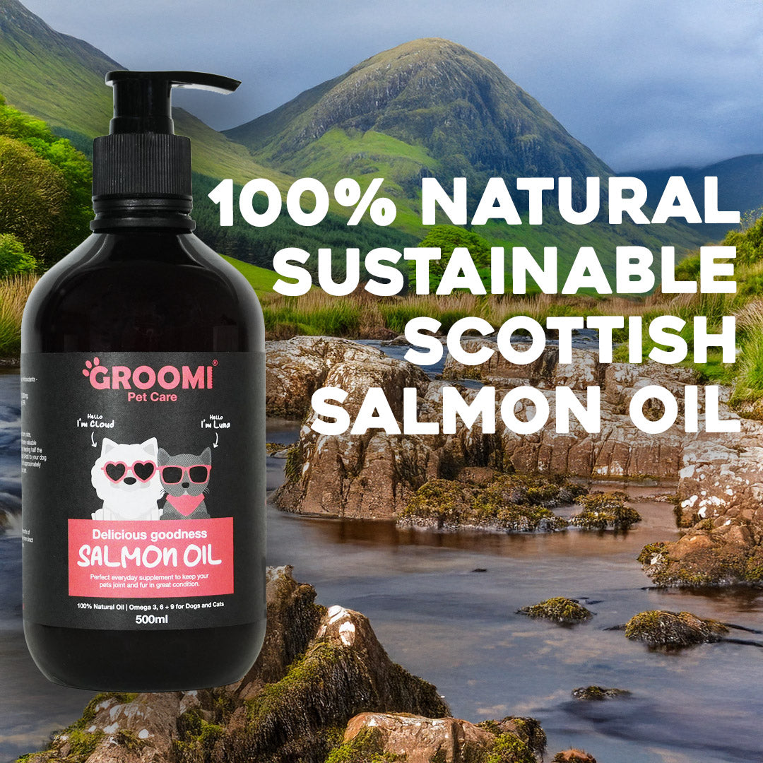Groomi Pet Care Salmon Oil for Dogs & Cats