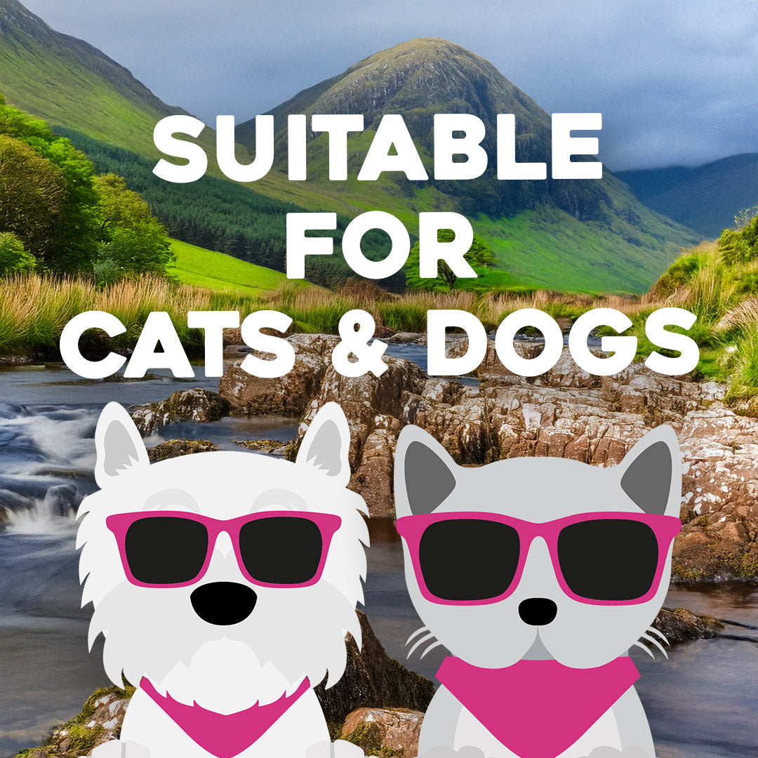 Groomi Pet Care Salmon Oil for Dogs & Cats
