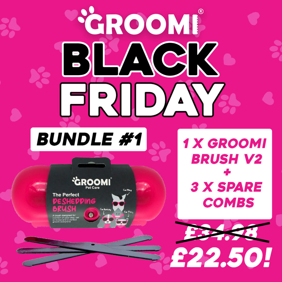 Groomi Brush & 3 Refill Combs