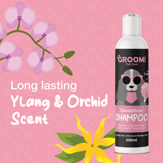 Groomi Candy Floss Dog Shampoo - 500ml