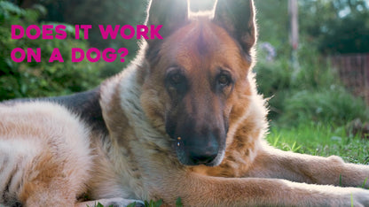 NEW** Groomi  Deshedding Brush 2.0